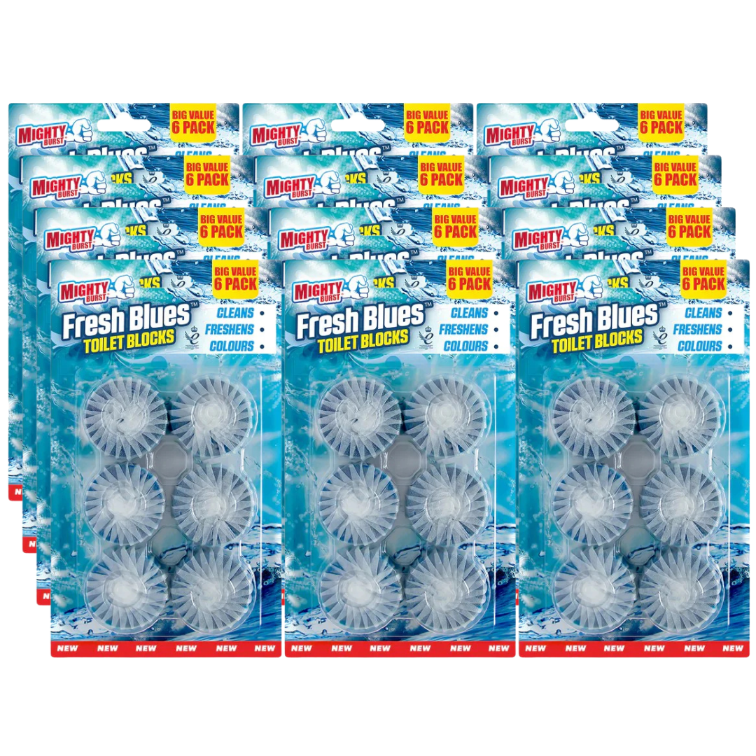 12 x Airpure Mighty Burst Fresh Blues Toilet Blocks 6x50g - Premium Quality Tissue Online - Product Image