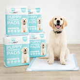 4 x Pawfect Pet Dog Puppy Pads 50pk 56x56cm