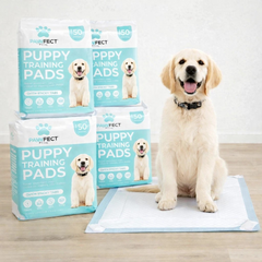 4 x Pawfect Pet Dog Puppy Pads 50pk 56x56cm