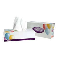 Softesse Family Size Tissue 2Ply - Case of 24 - Premium Quality Tissue Online - Product Image