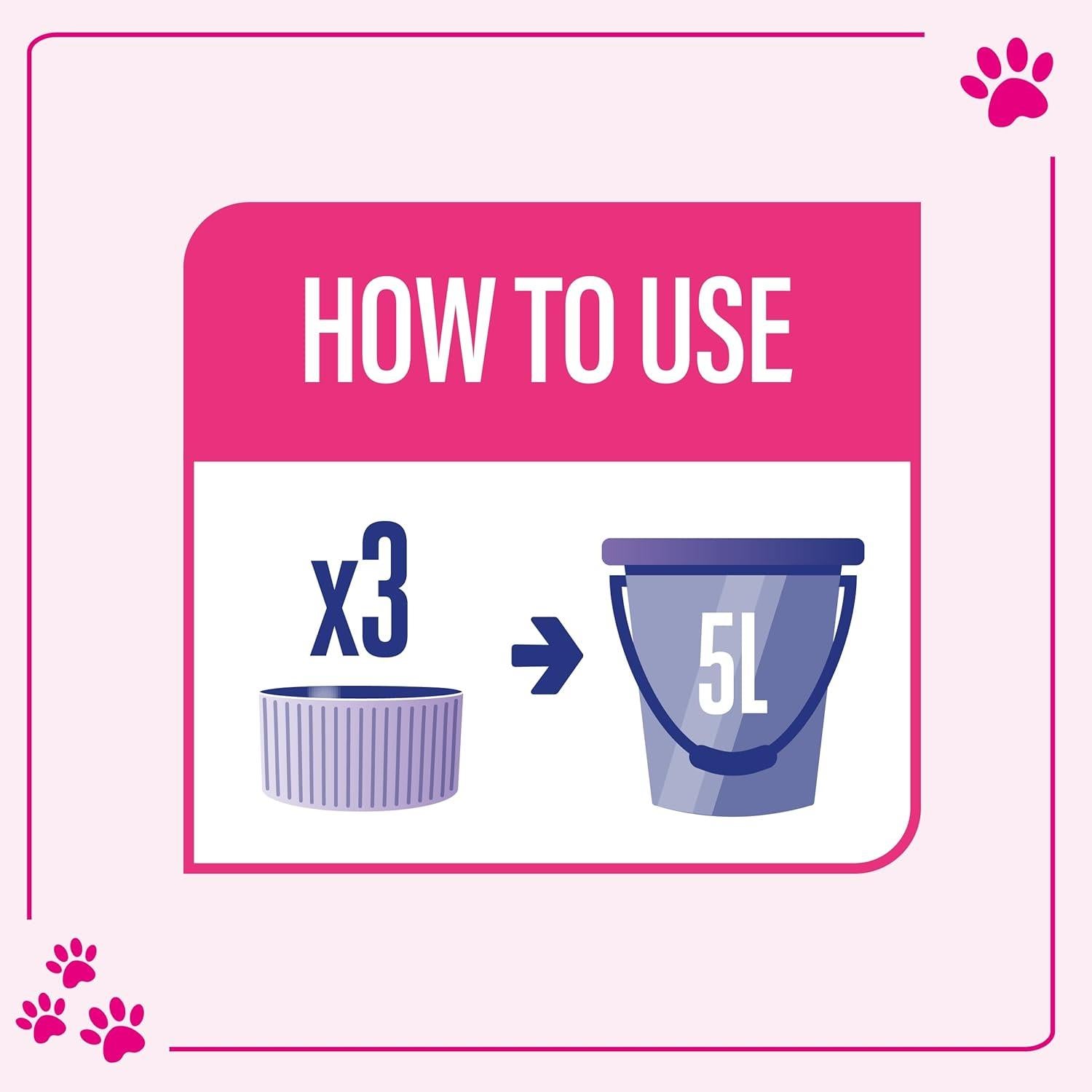 12 x Asevi Disinfectant Floor Cleaner Pet 1L