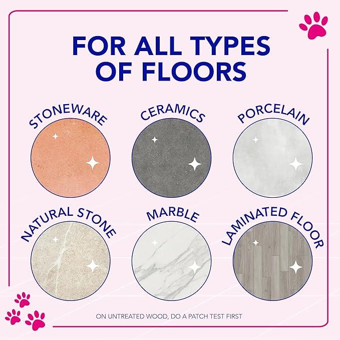 12 x Asevi Disinfectant Floor Cleaner Pet 1L