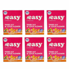 6 x Easy Laundry Powder 13w Tiger & Lily 884g