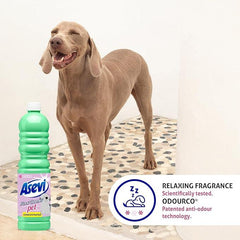 12 x Asevi Disinfectant Floor Cleaner Pet 1L