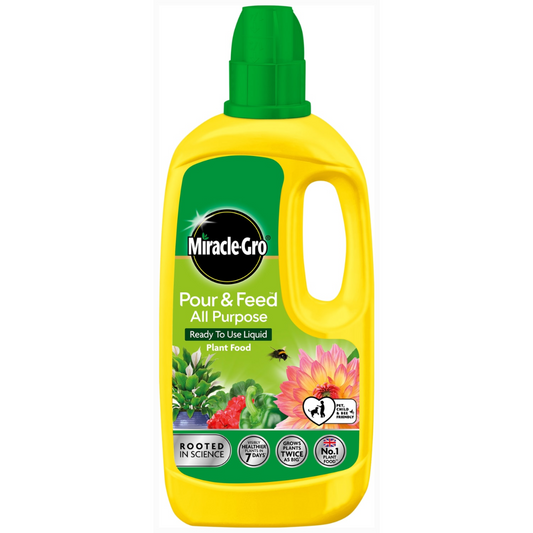 Miracle-Gro® Pour & Feed 1L x 6